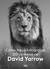 COMO HAGO FOTOGRAFIAS 20 CONSEJOS DE DAVID YARROW - YARROW DAVID.