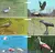 AVES DE LA PROVINCIA DE BUENOS AIRES - NAROSKY TITO en internet