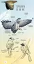 AVES DE CORDOBA GUIA DE CAMPO - NAROSKY - tienda online