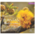 PLANTAS MEDICINALES SILVESTRES TOMO 2 DEL CENTRO D - AGUERO EZEQUIEL - comprar online