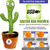 Magic Cactus Bailarin ✨ - comprar online