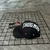 Boné Five Panel na internet
