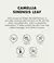 Tónico Camellia Sinensis Leaf Extract ONE THING - Flawless Store