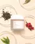 Crema Vegan Kombucha Tea Gel Dr. Ceuracle