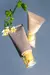 Protector Black Rice Pure Mineral Relief Daily Haruharu Wonder - tienda online