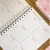 AGENDA SIGNOS 2025 | GÊMEOS