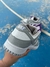 Nike SB Dunk Low Grey Fog + Cordon Extra en internet