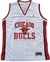 Regata NBA Chicago Bulls - comprar online