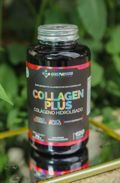 COLÁGENO HIDROLISADO PLUS - comprar online