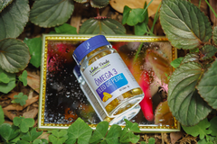 OMEGA 3 - comprar online