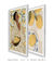 Dupla de Quadros Decorativos Lemon Spirit II na internet