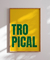 Quadro Decorativo Brasilidade Tropical na internet