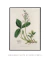 Quadro Decorativo Essência Verde - comprar online