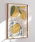 Quadro Decorativo Lemon Spirit na internet