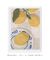 Quadro Decorativo Lemon Spirit - comprar online