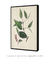 Quadro Decorativo Natureza Ilustrada