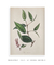 Quadro Decorativo Natureza Ilustrada - comprar online