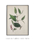 Quadro Decorativo Natureza Ilustrada - comprar online