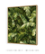 Quadro Decorativo Tropical Leaf - loja online