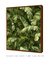 Imagem do Quadro Decorativo Tropical Leaf