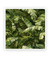 Quadro Decorativo Tropical Leaf - comprar online