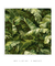 Quadro Decorativo Tropical Leaf - comprar online