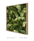 Quadro Decorativo Tropical Leaf - loja online