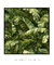 Quadro Decorativo Tropical Leaf - comprar online