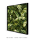 Quadro Decorativo Tropical Leaf na internet