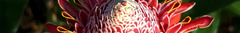 Banner da categoria Hidratantes