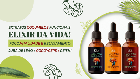 Carrossel 1