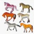 KIT CAVALOS