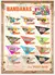 Imagem do 10 Bandanas mistas - Festa Junina