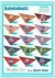 Kit 300 Bandanas Tamanho M - Sortidas - Boutike & Cia