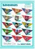 Imagem do Kit 300 Bandanas Tamanho M - Sortidas