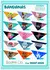 Kit 250 Bandanas Tamanho M - Sortidas - loja online