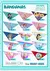 Kit 250 Bandanas Tamanho M - Sortidas - comprar online