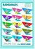 Kit 250 Bandanas Tamanho M - Sortidas - loja online