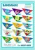 Kit 250 Bandanas Tamanho M - Sortidas na internet