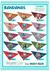 Kit 250 Bandanas Tamanho M - Sortidas