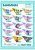 Imagem do Kit 250 Bandanas Tamanho M - Sortidas