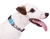 Coleira Snoopy ZigZag - comprar online