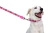 Guia Snoopy Pink Flower - comprar online