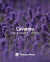 Kit Revenda Difusor Aromatizador de Ambiente Lavanda - Tropical Aromas