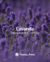 Kit Revenda Limpador Concentrado Cheirinho Tropical Lavanda - 150 ml - Tropical Aromas