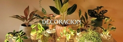 Banner de la categoría Objetos botánicos