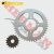 Corona/Piñon Skua 150 46/17 (Repcor) J003Cpe