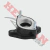 Admision Skua 150 (Repcor) J7186Sp