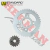 Corona/Piñon Wave S 110 37/14 420 (W-Std) Sp0707
