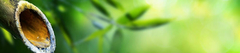 Banner de la categoría FUENTES DE AGUA 